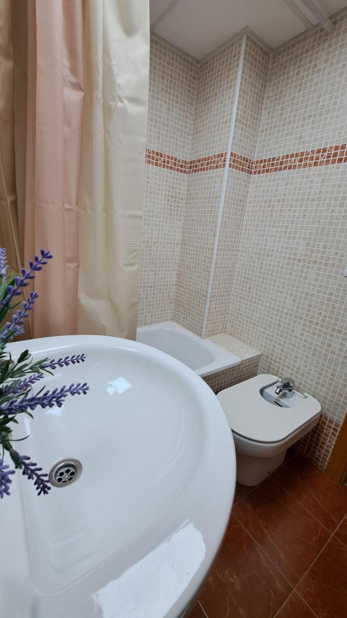 Apartamentos Maria Cristina Con Parking Gratis 코르도바 외부 사진