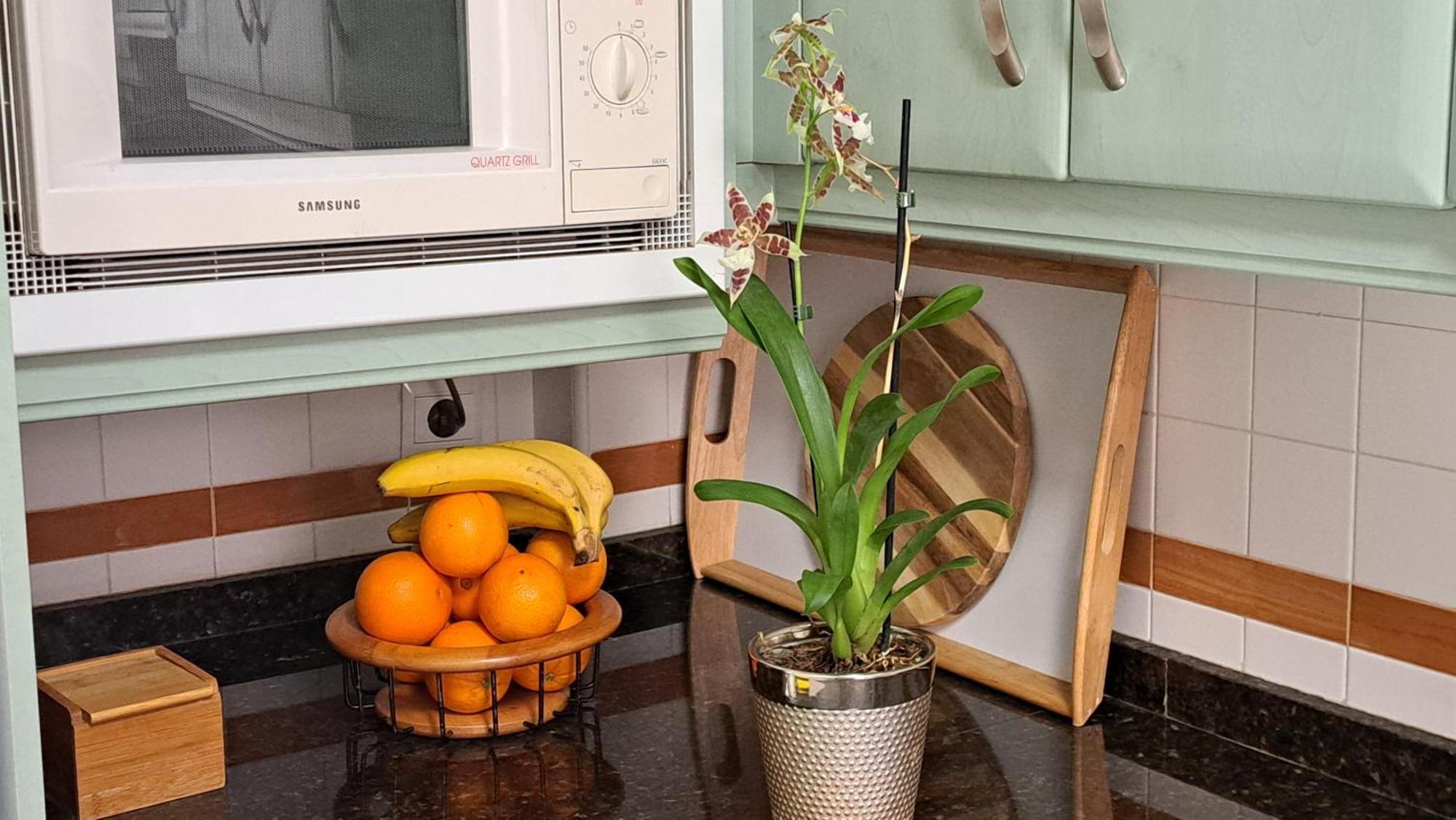 Apartamentos Maria Cristina Con Parking Gratis 코르도바 외부 사진